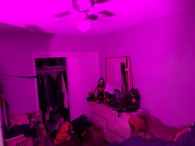 Paul's room