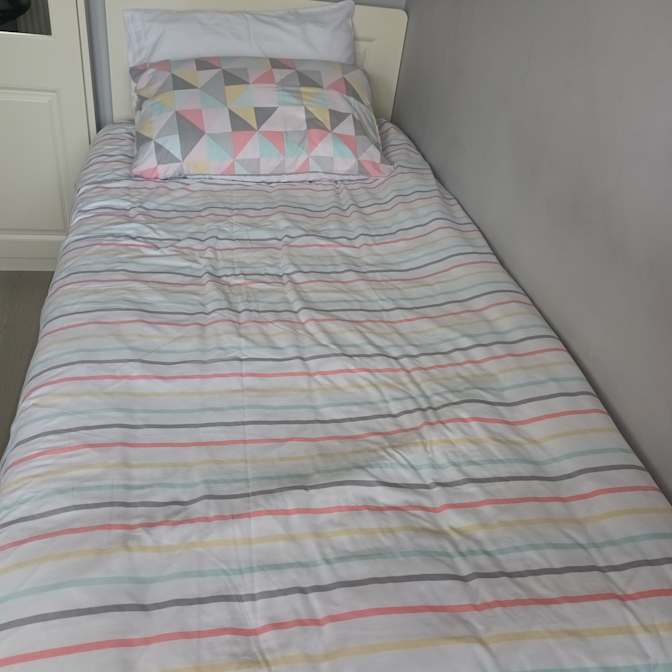 Mary's room