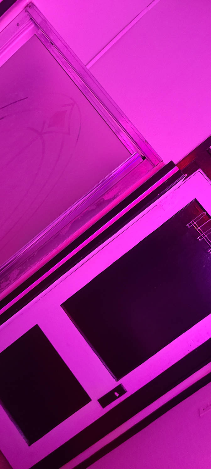 PETER's room