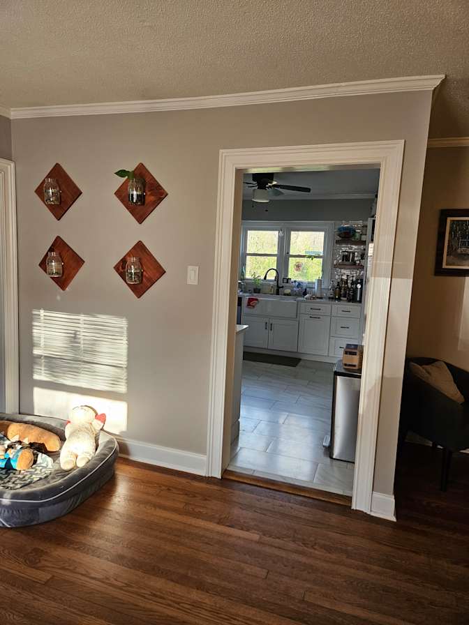 Madyson's room