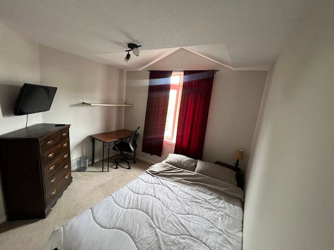 Roman's room