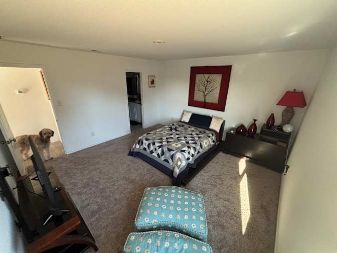 Miguel's room