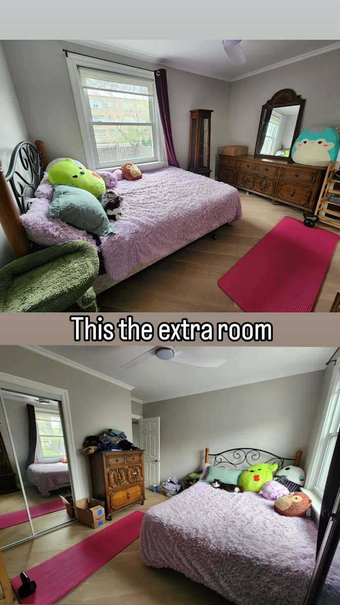 Rachel Dinar's room