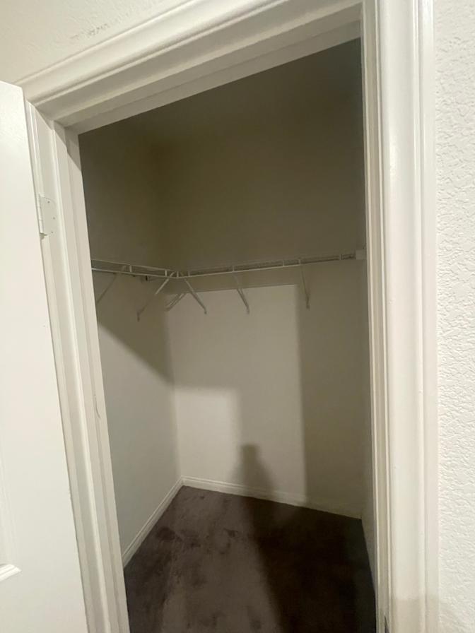 Audrey's room