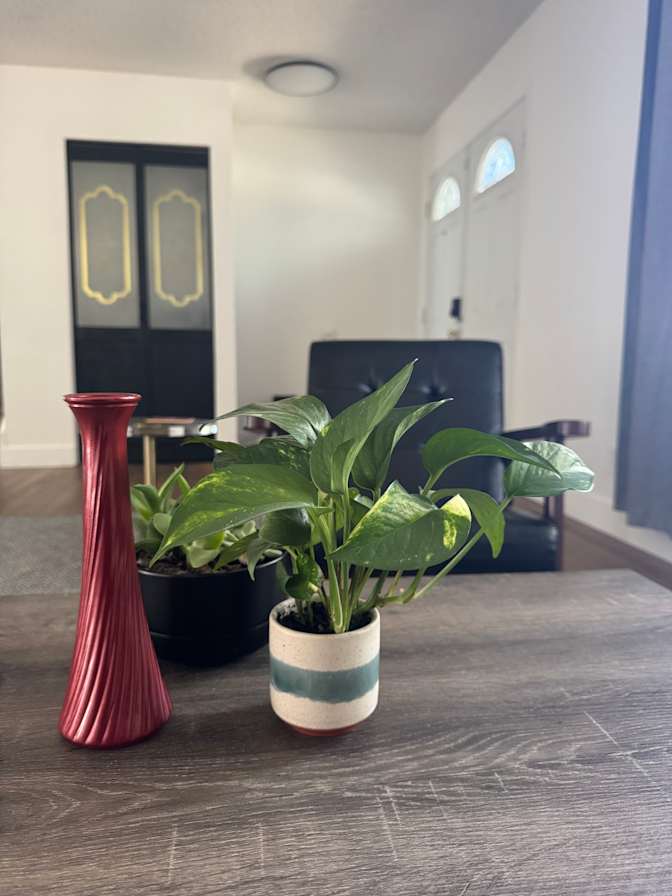 Jason's room