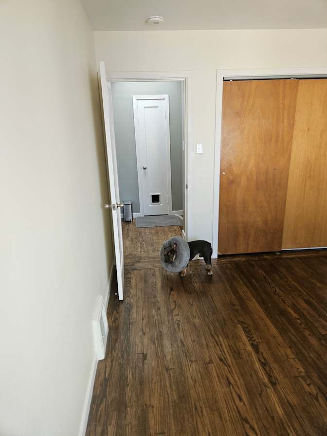 Ali's room