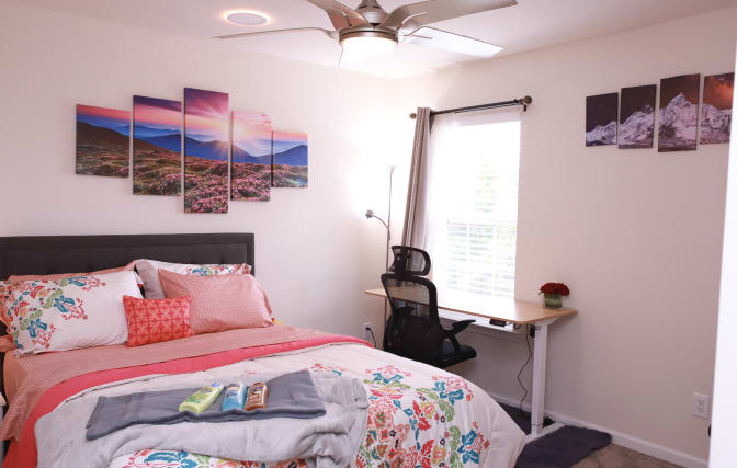 Alcove Rooms's room
