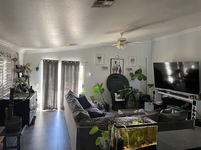 Adrian's room