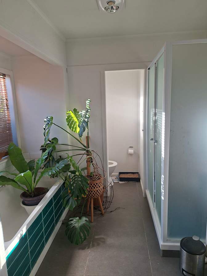 Paulette's room