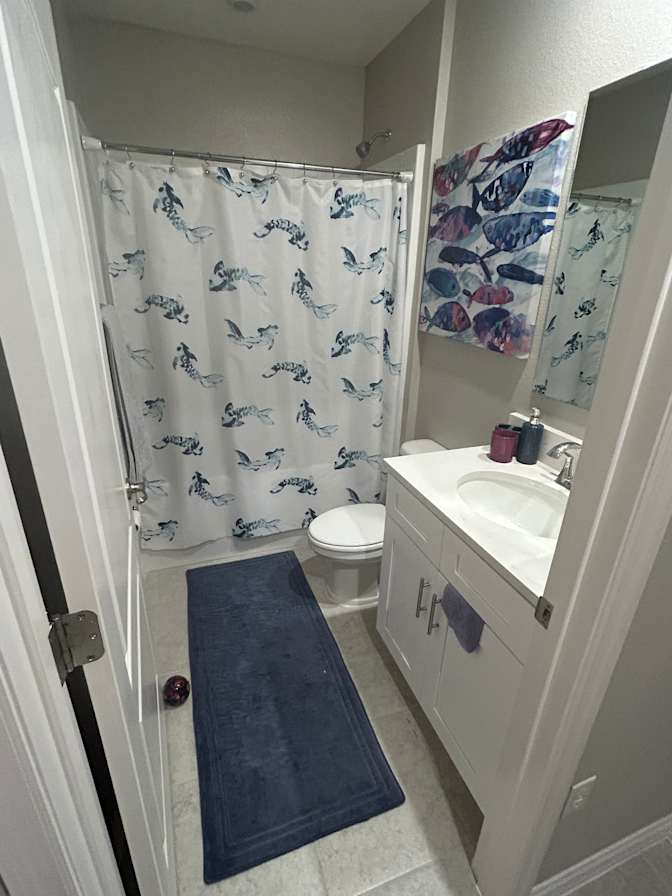 Buddy's room