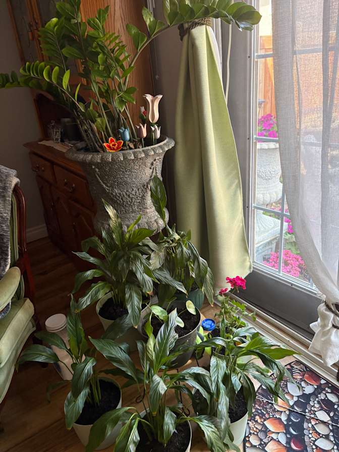 Ana's room