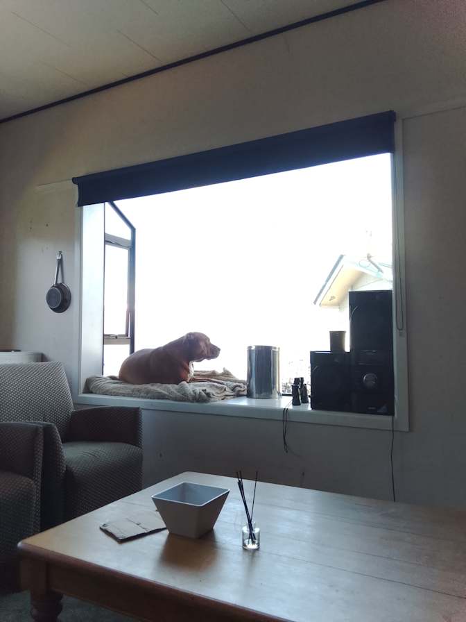 Steven's room