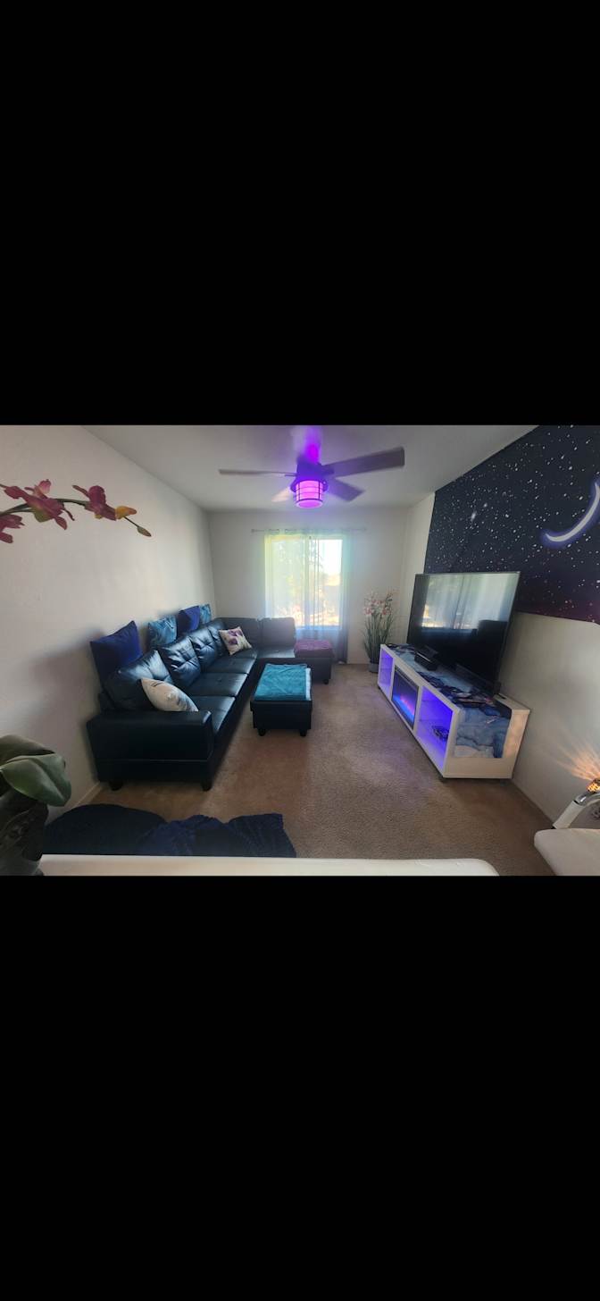 Ayzriel Night's room