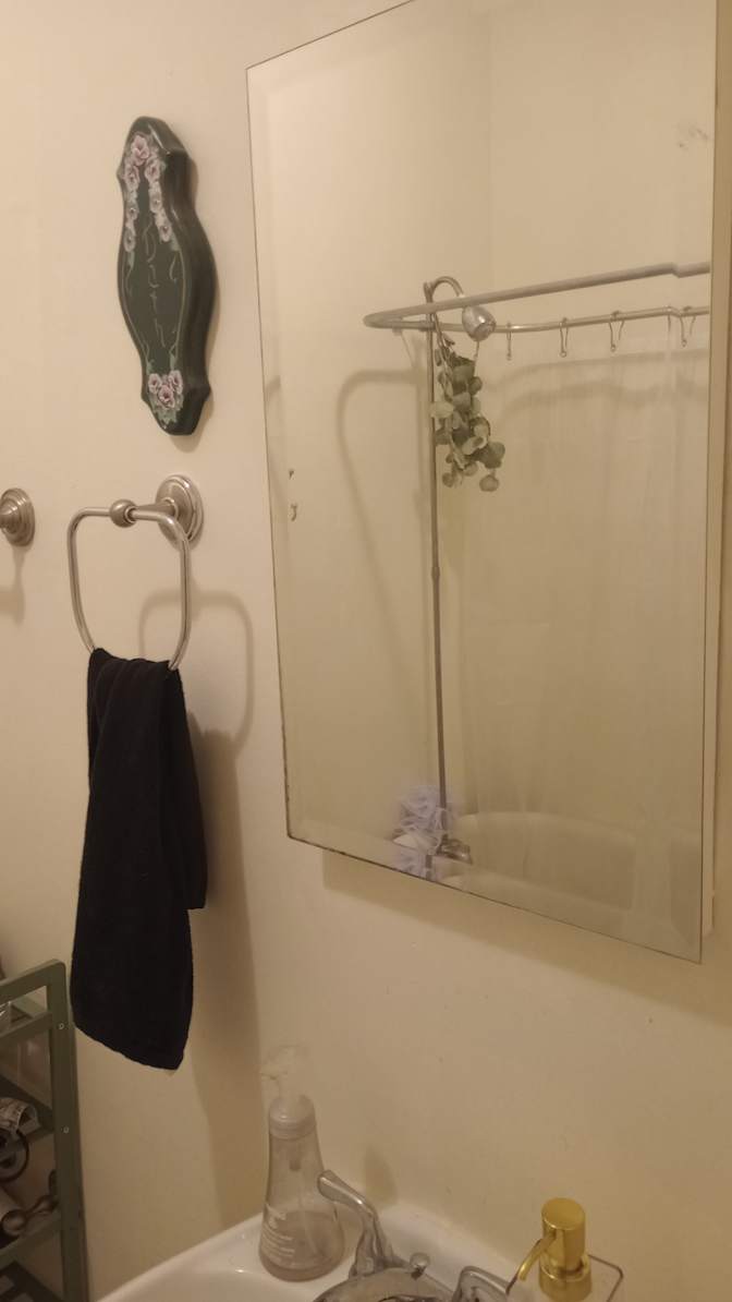 Sheyenne's room