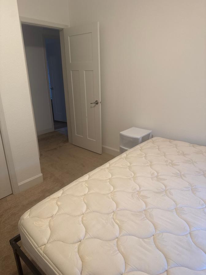 Michelle Carroll's room