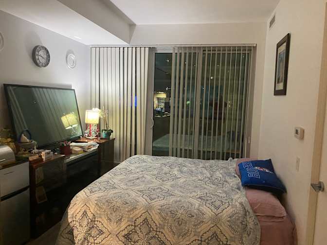 irina's room
