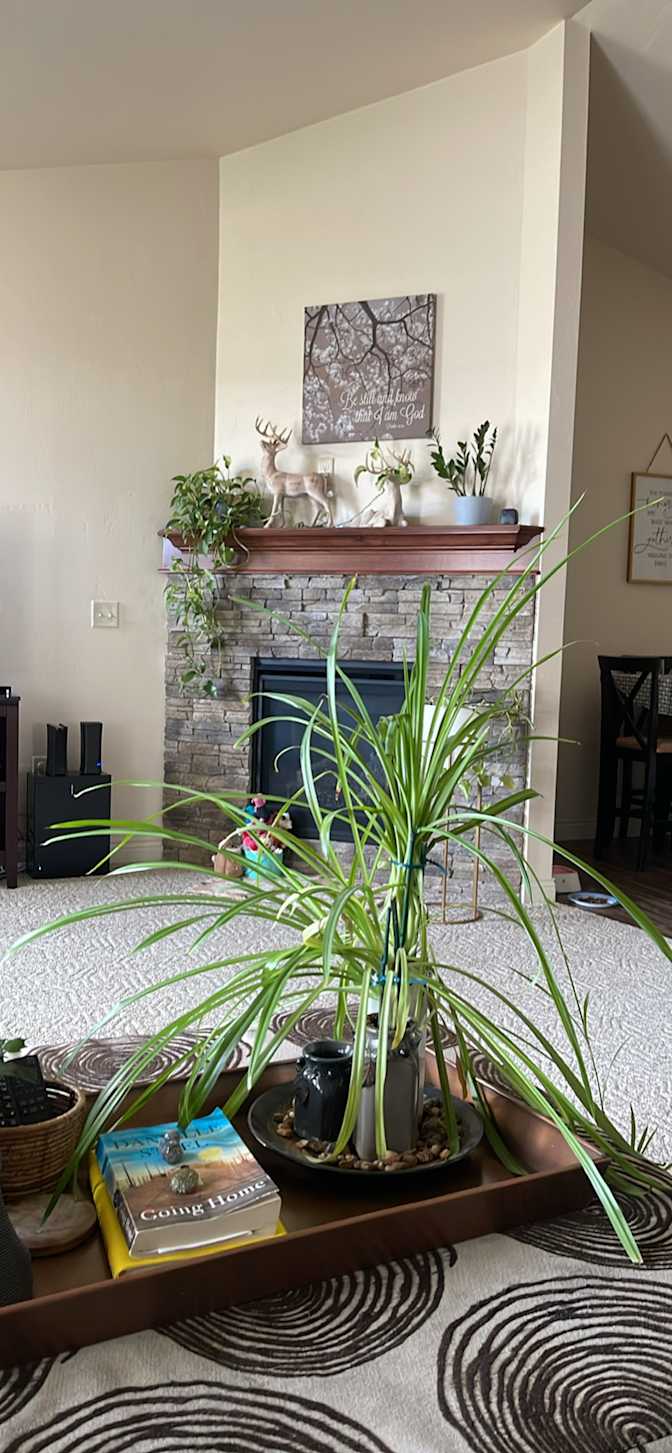 Wendy Watters's room