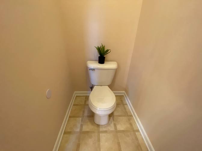 Alcove Rooms's room