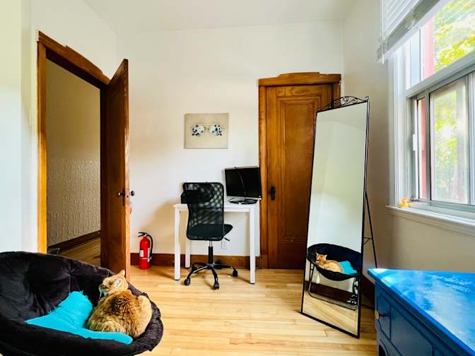 Sonia's room