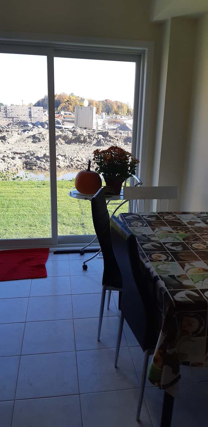 Shaheen's room