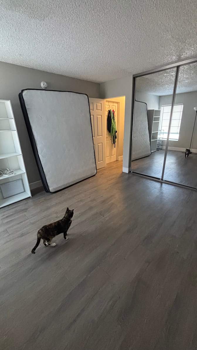 Danielle's room