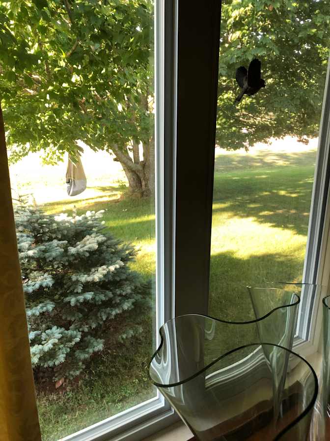 Bedroom for rent's room