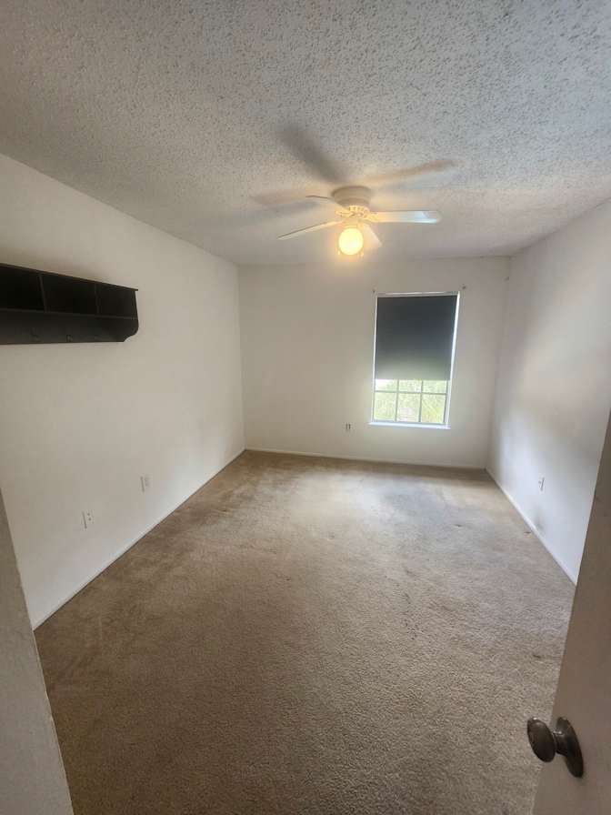 William Kaneck's room