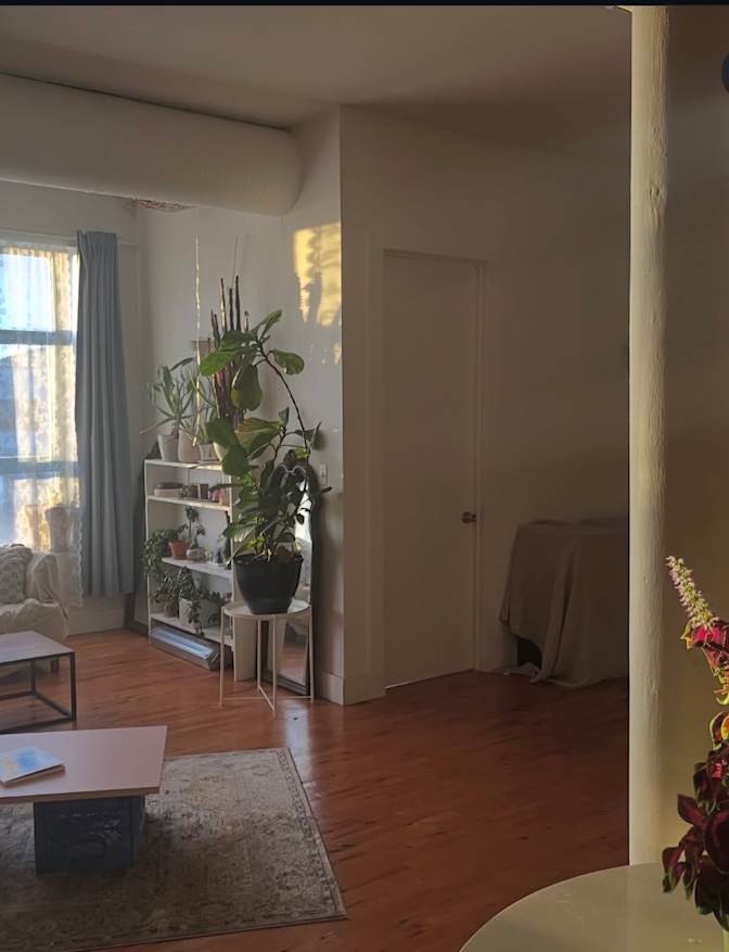 Pauline's room