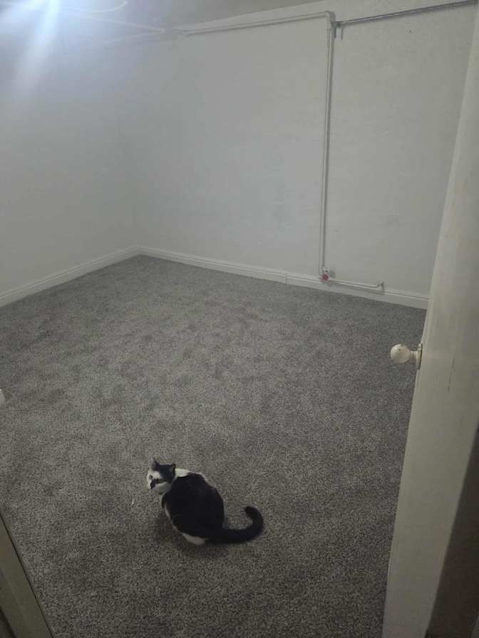 Anuar's room