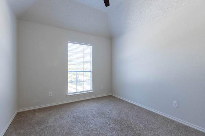 Paulina phuong nguyen's room