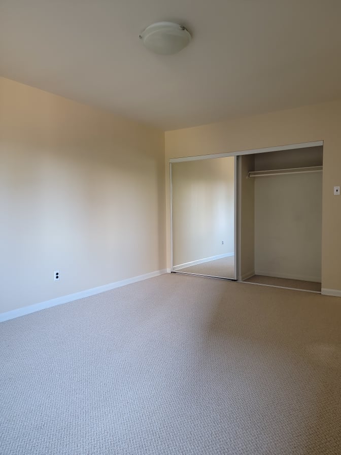 Shane's room