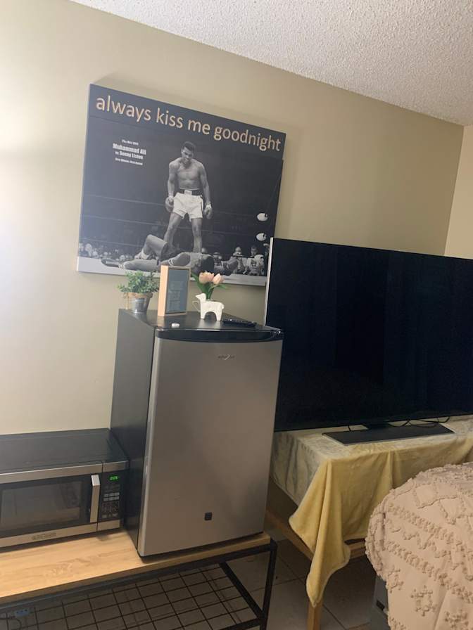 Dayanitza's room