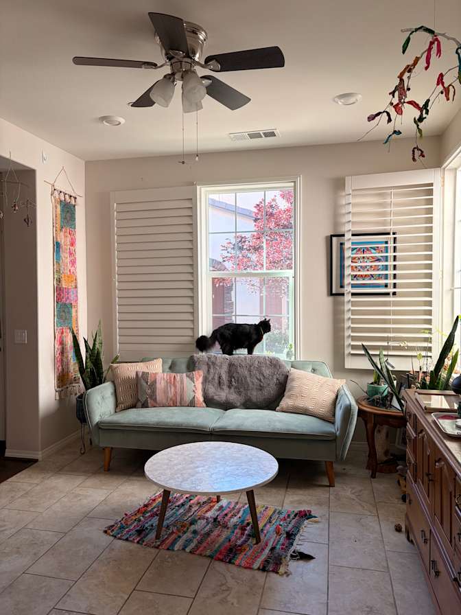 Amy's room