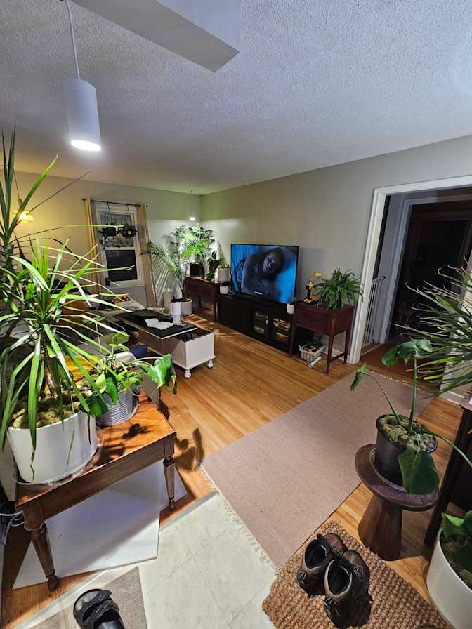 Eli's room