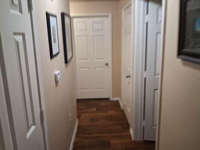 Shaun Baggs's room