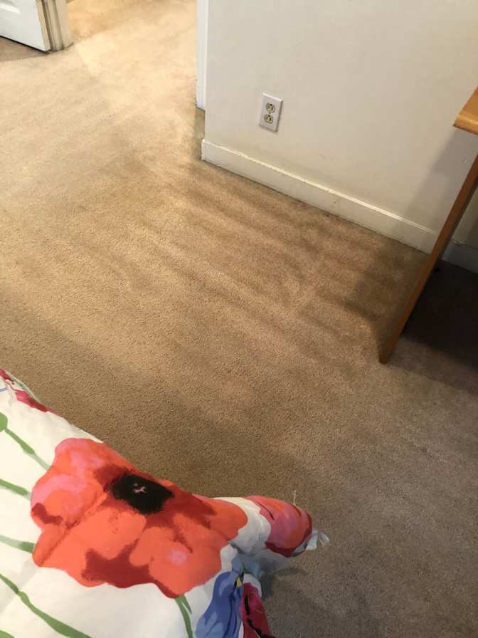 Sara Turner's room