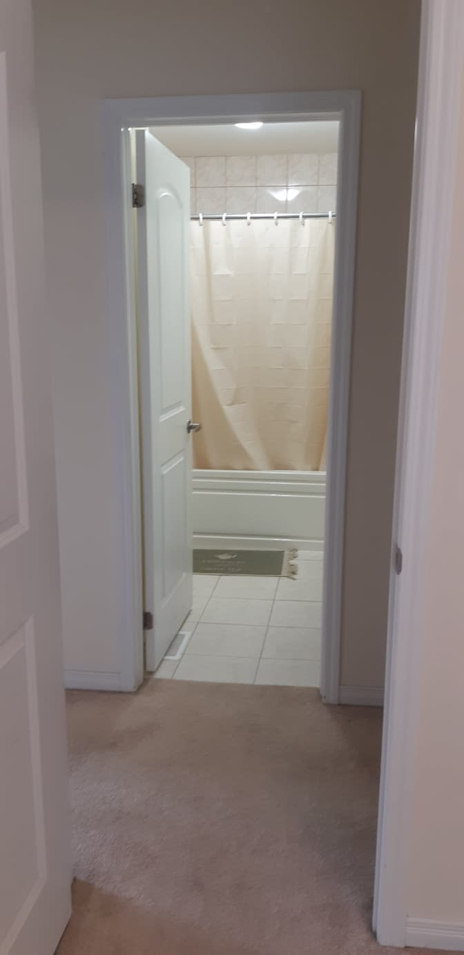 Shaheen's room