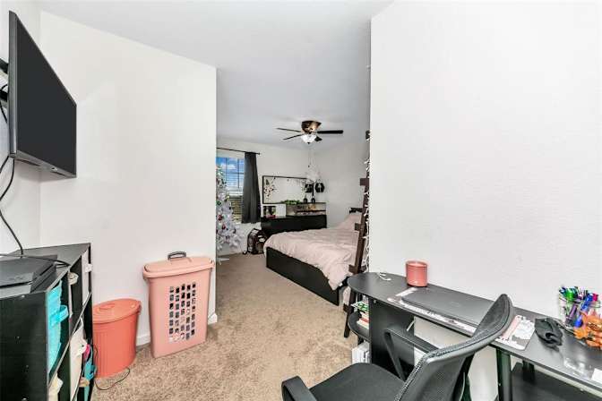 Taylor's room