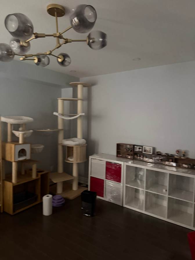 Tracy's room