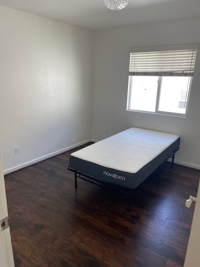 Shelle's room
