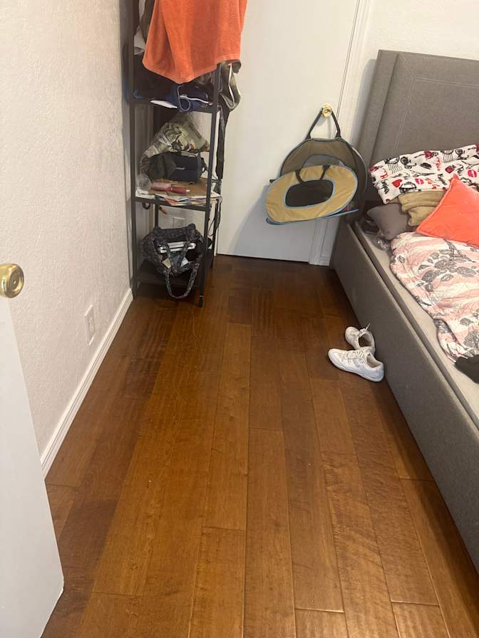 Albert's room