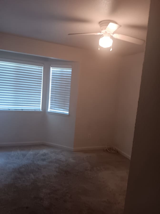 Stephanie's room