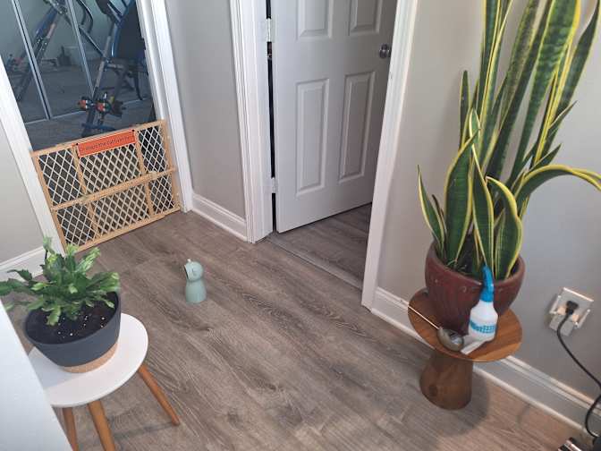 Greg friend's room
