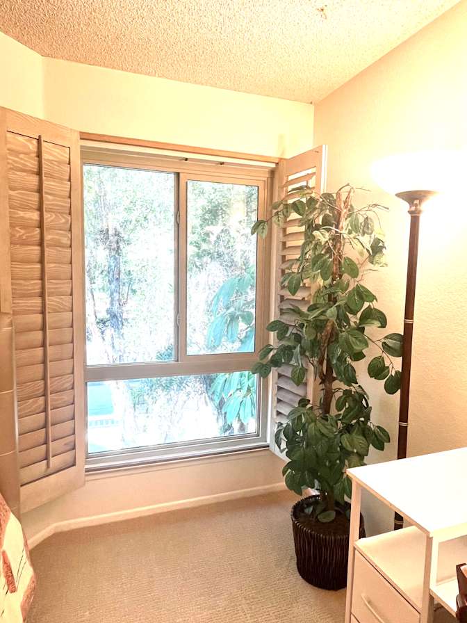 Vahid's room