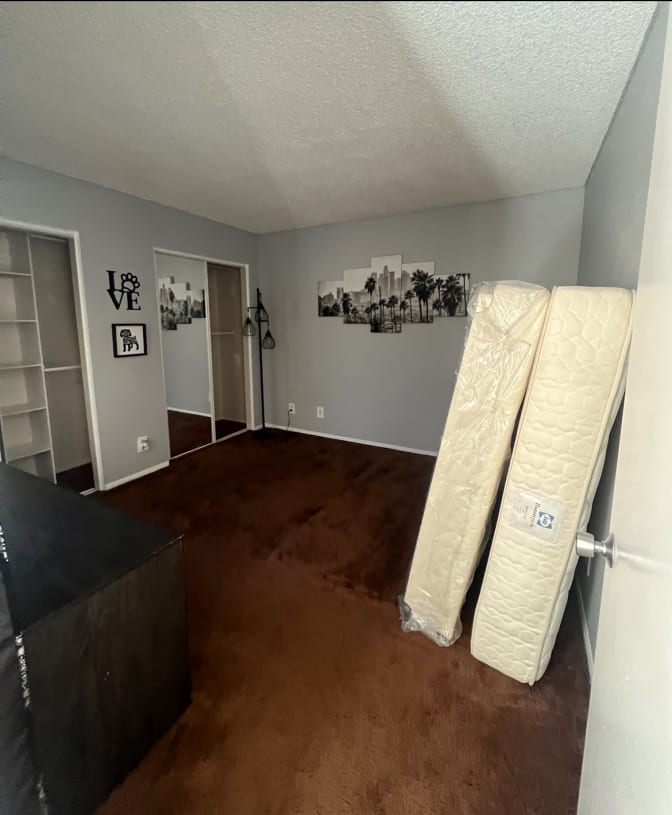 Rocky's room