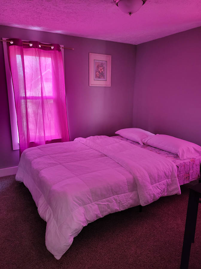 Connella's room