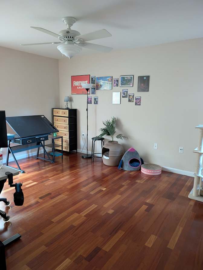 Bailey's room
