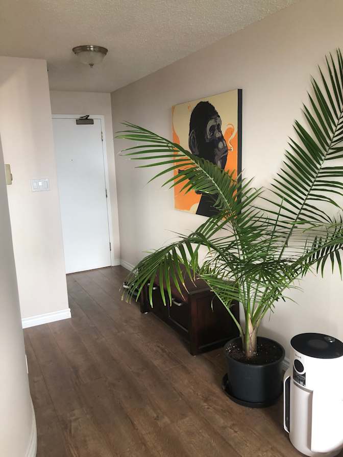 Alexandre's room