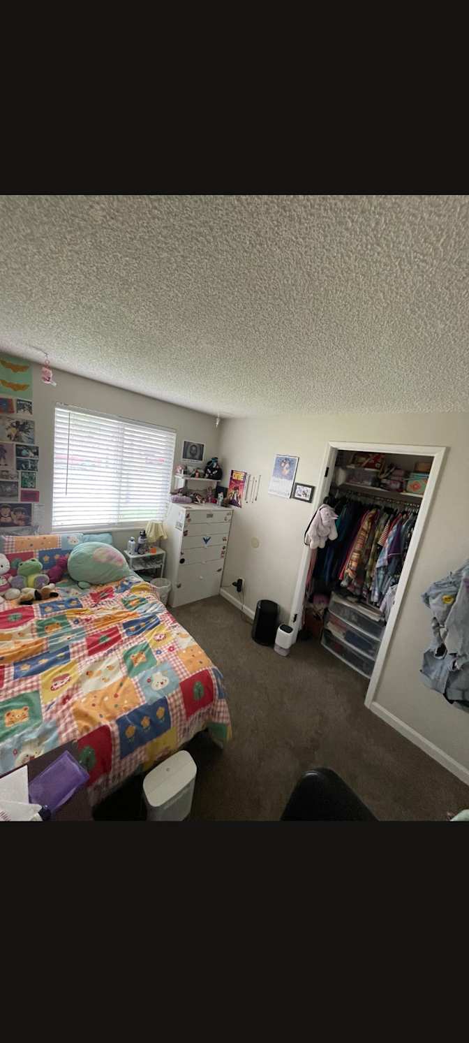 Tegan's room
