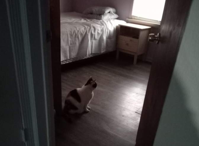 Jenn's room